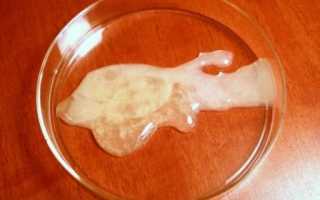 Прозрачная сперма: причины, диагностика и лечение