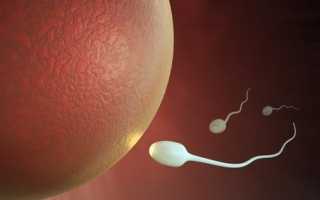 Почему у мужчины нет семяиспускания: все причины отсутствия спермы