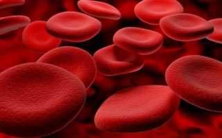 Норма эритроцитов в крови у мужчин и частые отклонения