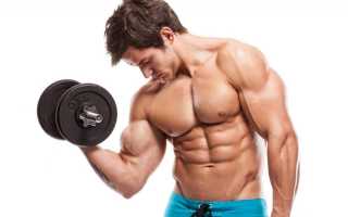 Как правильно сушиться для рельефа мышц: программы тренировок и курсы